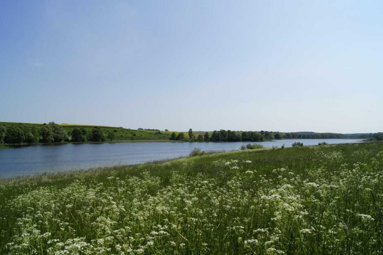 Modrzewiowe Wzgorze